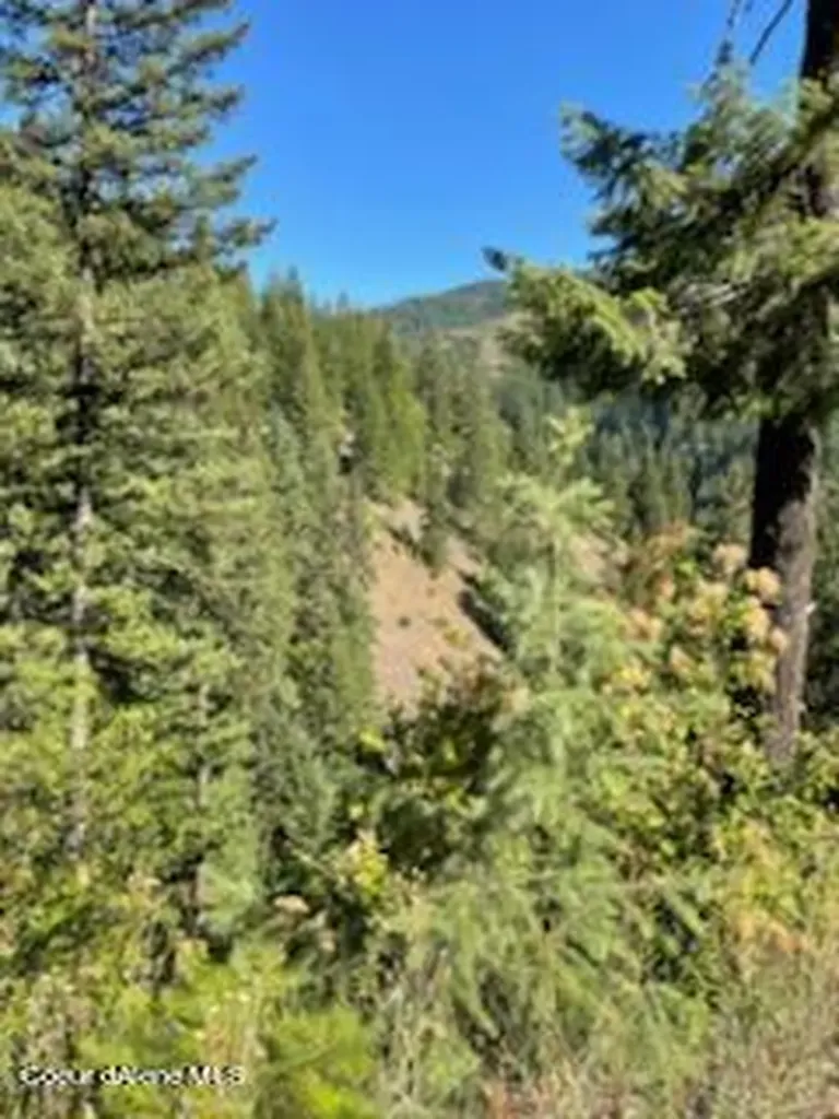 Nka Burke 34.38 Acres Road Wallace ID 83873