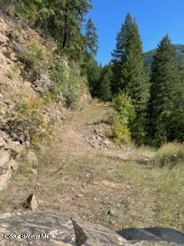 Nka Burke 34.38 Acres Road Wallace ID 83873