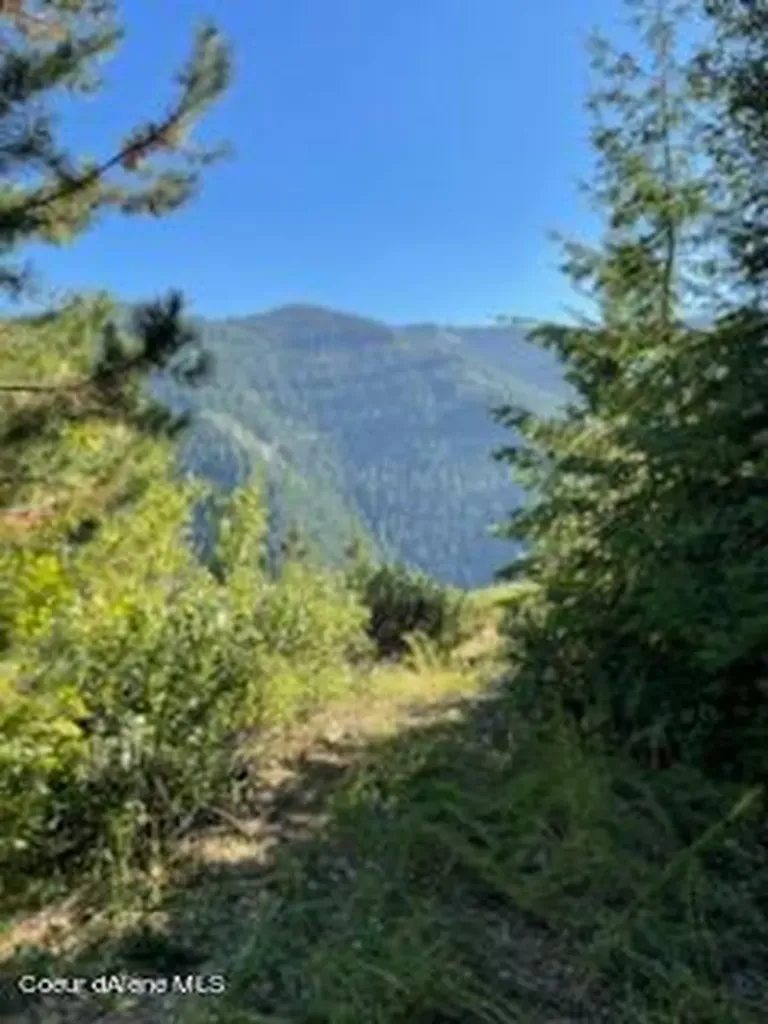Nka Burke 34.38 Acres Road Wallace ID 83873