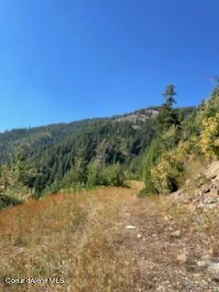 Nka Burke 34.38 Acres Road Wallace ID 83873