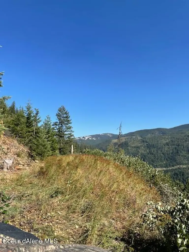 Nka Burke 34.38 Acres Road Wallace ID 83873