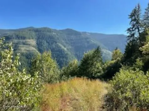 NKA Burke 34.38 Acres Road Wallace ID 83873
