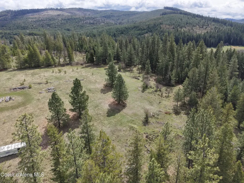 7971 Windfall Pass Road St. Maries ID 83861