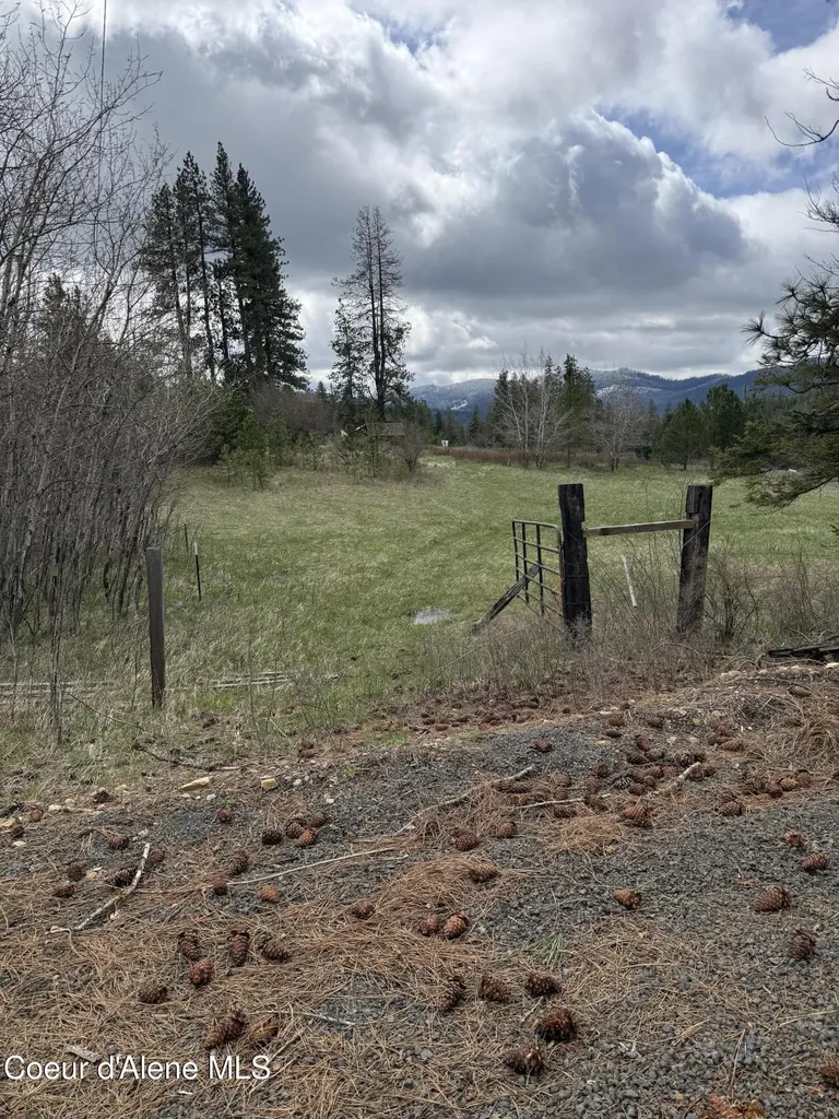 7971 Windfall Pass Road St. Maries ID 83861