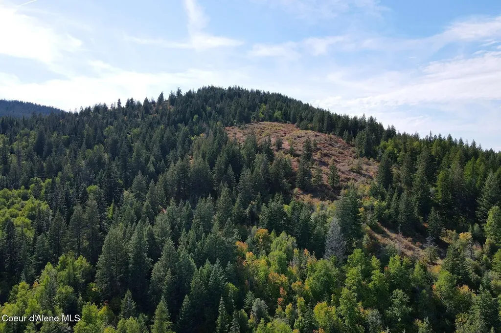 Nna 10 Acres Upper Manley Creek Road Laclede ID 83841
