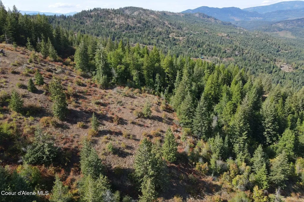 Nna 10 Acres Upper Manley Creek Road Laclede ID 83841