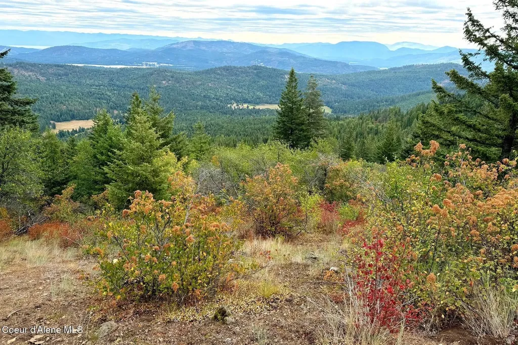 Nna 10 Acres Upper Manley Creek Road Laclede ID 83841