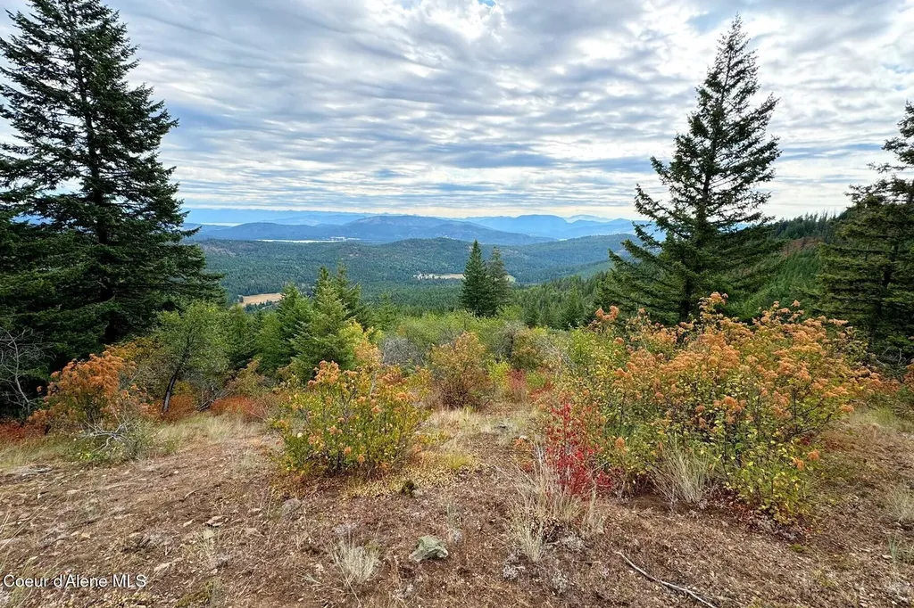Nna 10 Acres Upper Manley Creek Road Laclede ID 83841