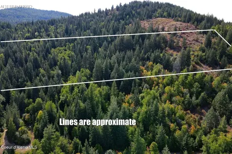 NNA 10 Acres Upper Manley Creek Road Laclede ID 83841