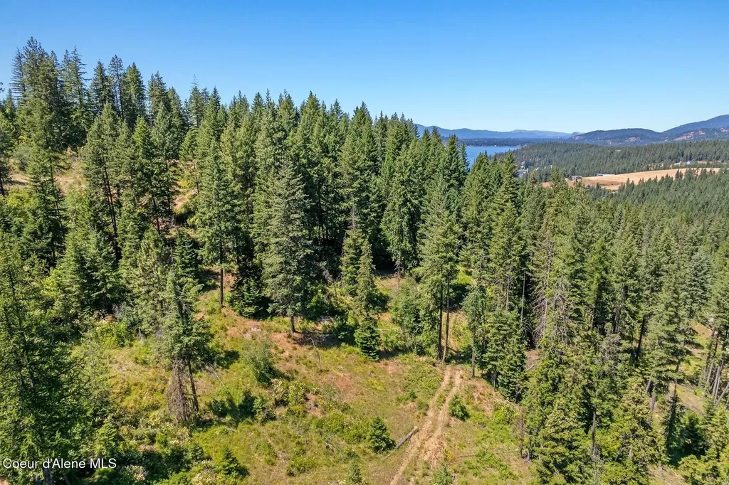 4456 E Eagles Mere Road Harrison ID 83833