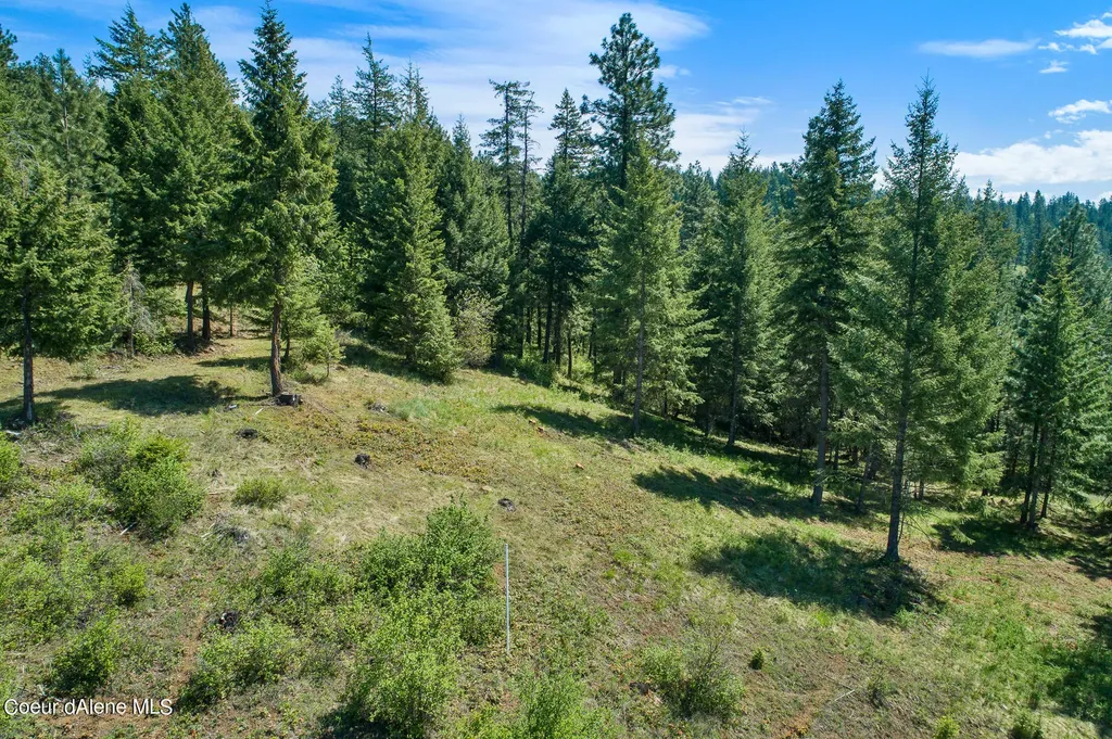 Lot 149 Gadwell Harrison ID 83833