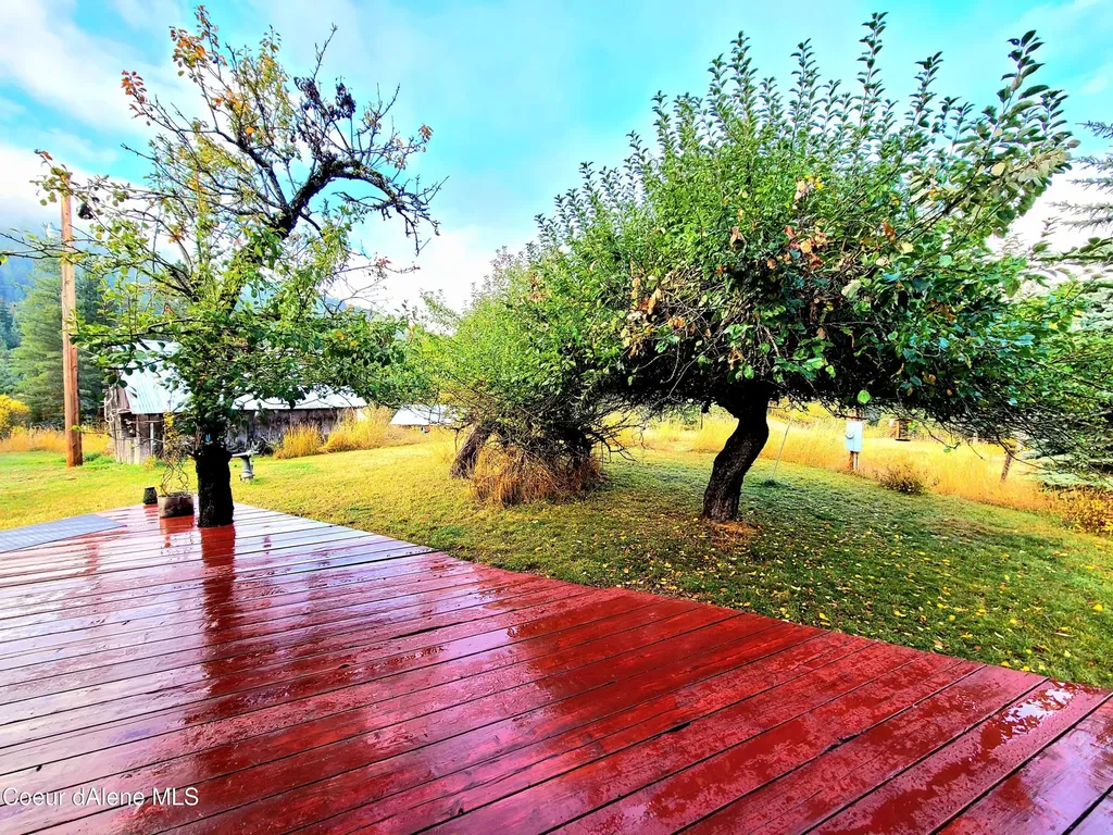 616 Painter Road Clark Fork ID 83811