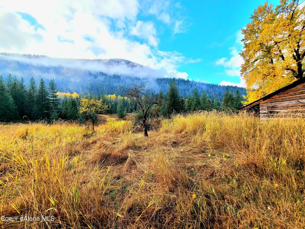 616 Painter Road Clark Fork ID 83811