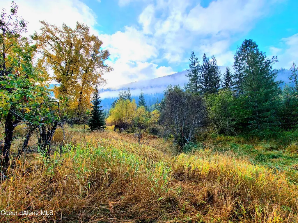 616 Painter Road Clark Fork ID 83811