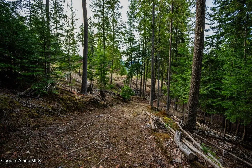 403 Kula Drive Sagle ID 83860