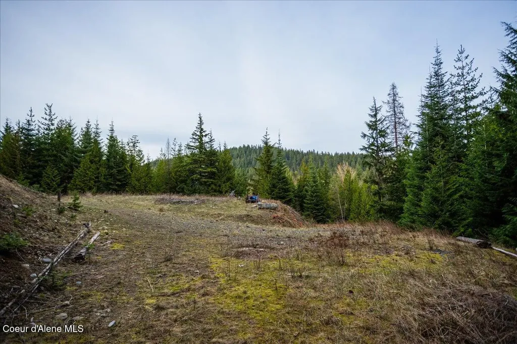 403 Kula Drive Sagle ID 83860