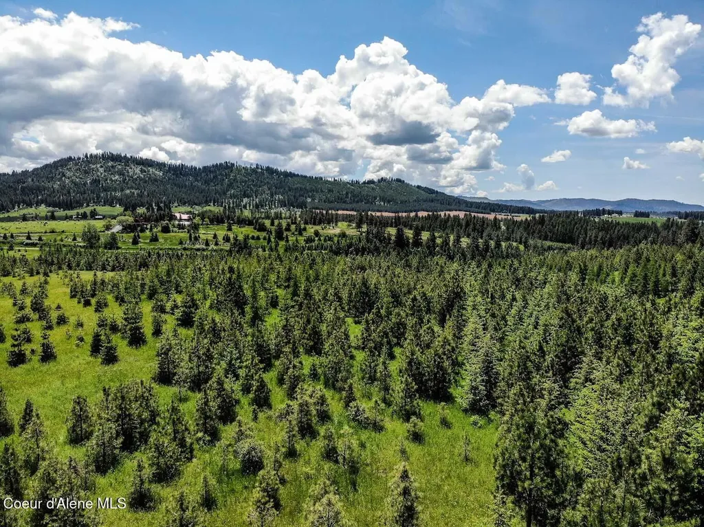 Nna E Sonora Sky Parcel 6 Road Harrison ID 83833