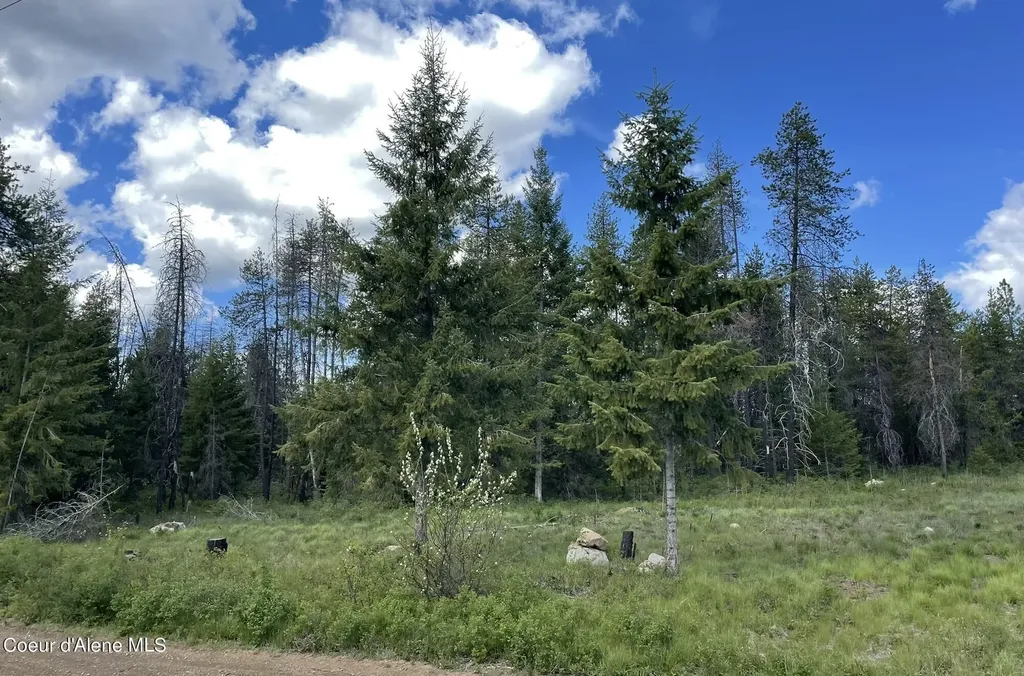 Nna 14th Avenue Spirit Lake ID 83869