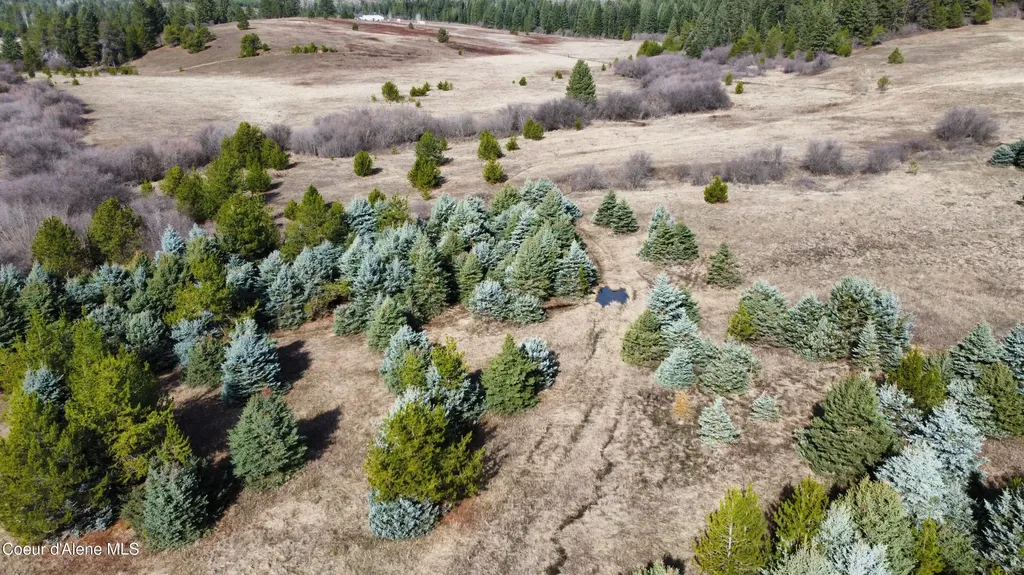 Nna E Coon Creek Road St. Maries ID 83861