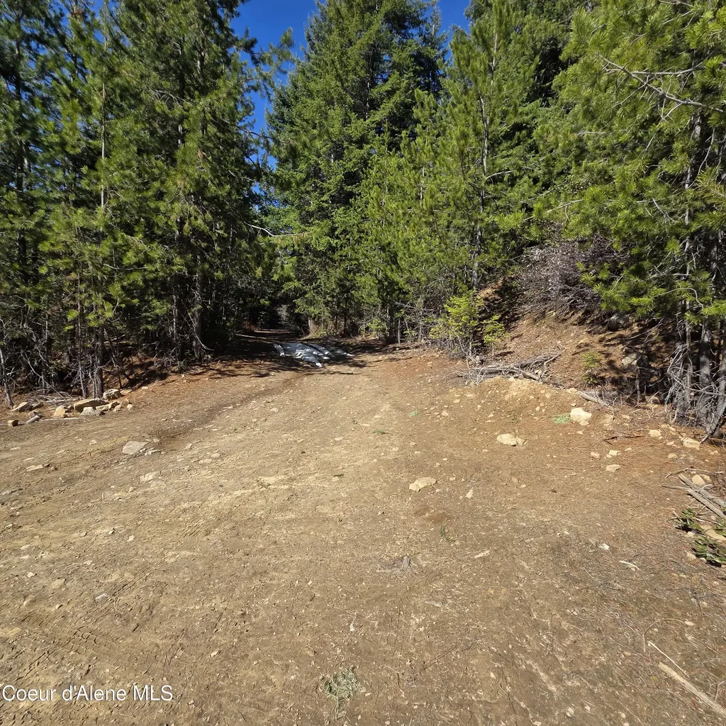 0 Adams Creek Road Fernwood ID 83830