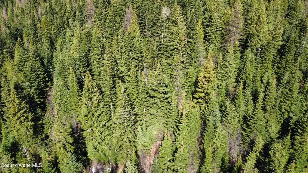 0 Adams Creek Road Fernwood ID 83830