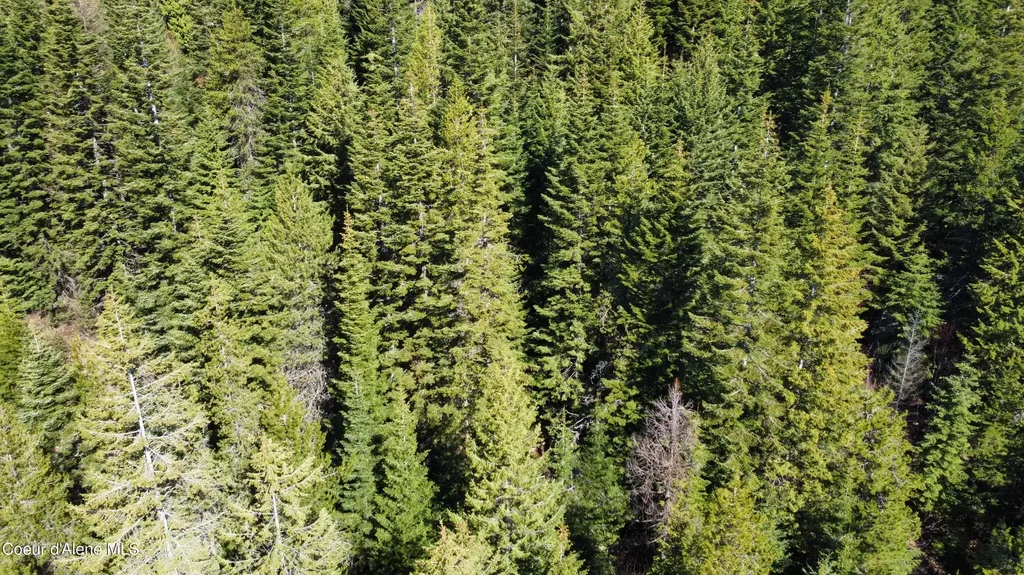 0 Adams Creek Road Fernwood ID 83830