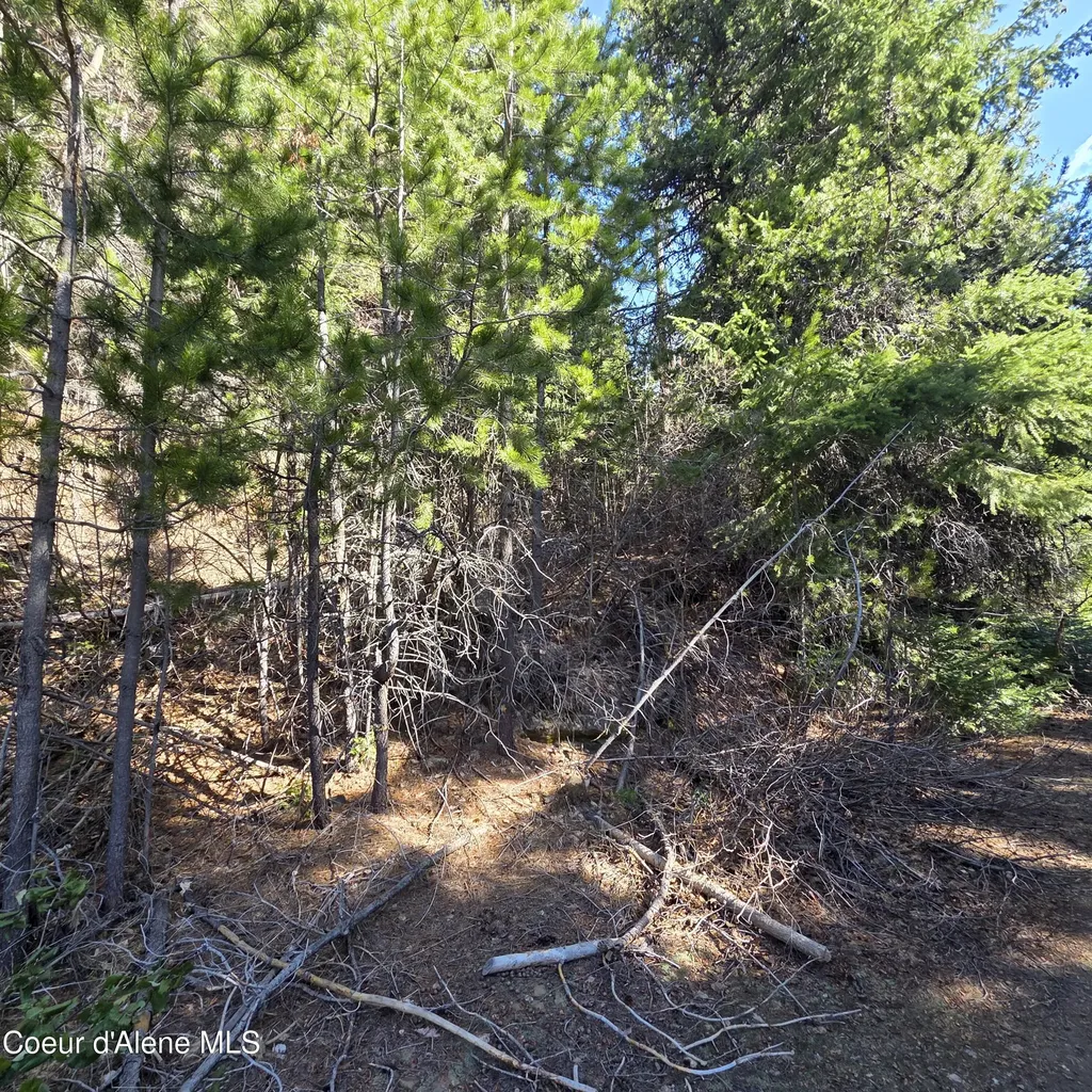 0 Adams Creek Road Fernwood ID 83830