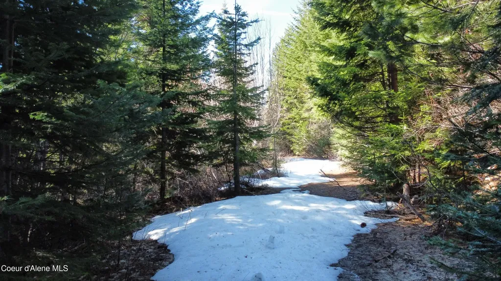 0 Adams Creek Road Fernwood ID 83830