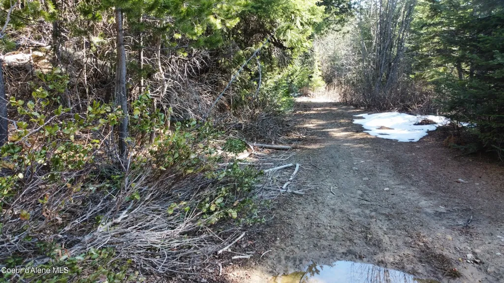 0 Adams Creek Road Fernwood ID 83830