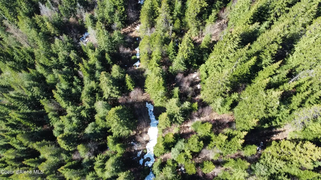 0 Adams Creek Road Fernwood ID 83830