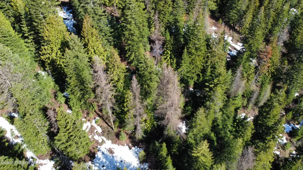 0 Adams Creek Road Fernwood ID 83830