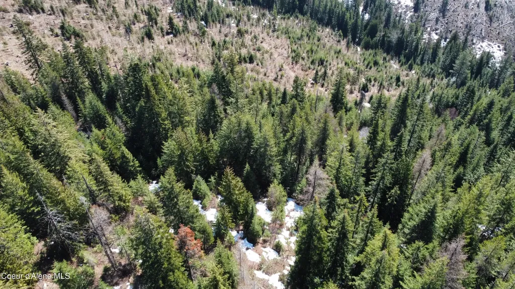 0 Adams Creek Road Fernwood ID 83830