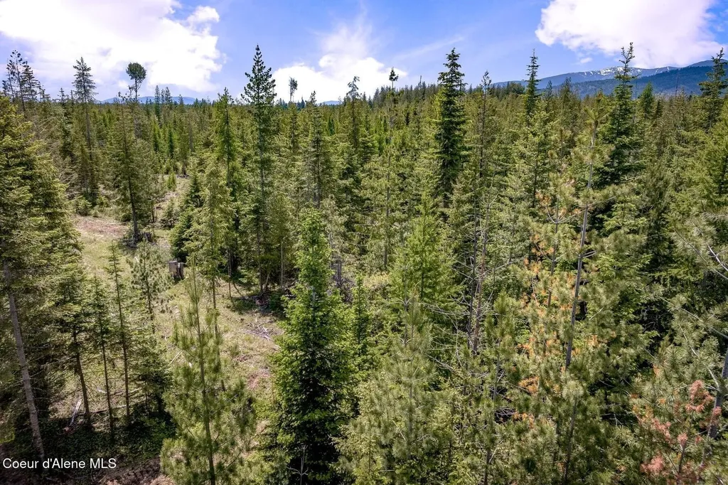 Nna Noble Lane Lot 2 Phase 2 Sandpoint ID 83864