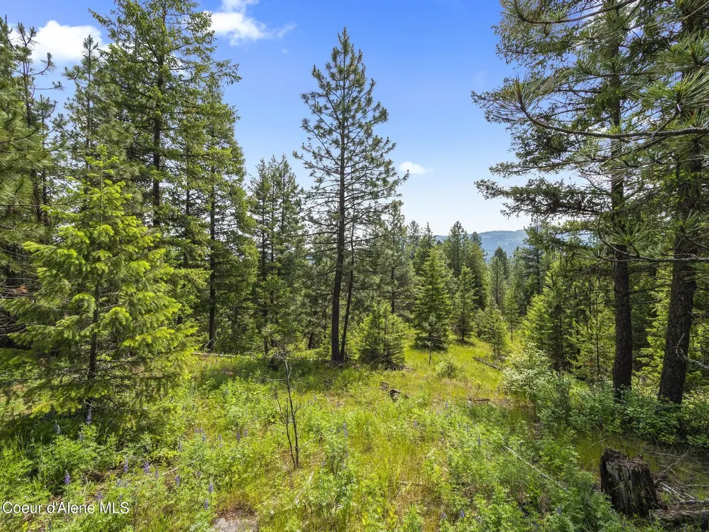 685 Blanchard Elk Road Blanchard ID 83804