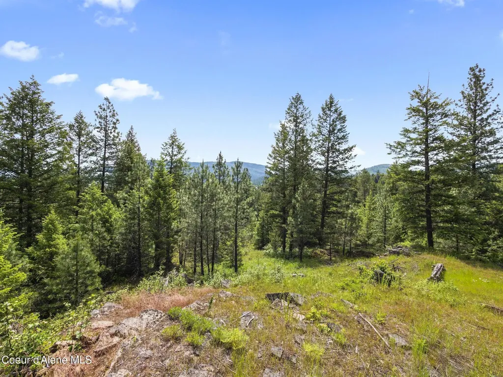 685 Blanchard Elk Road Blanchard ID 83804