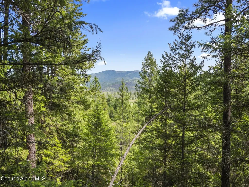 685 Blanchard Elk Road Blanchard ID 83804