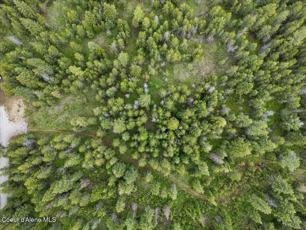 Nka Nikoma Road 10 Acres Rathdrum ID 83858