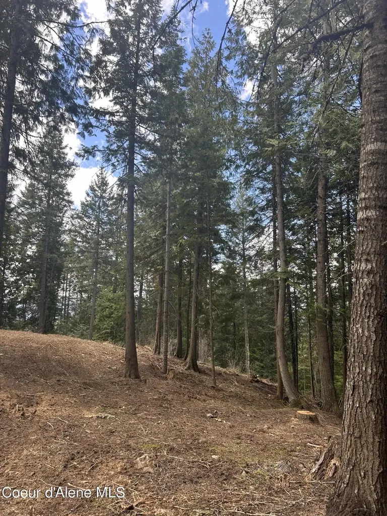 Lot 17 White Cloud Drive Sandpoint ID 83864