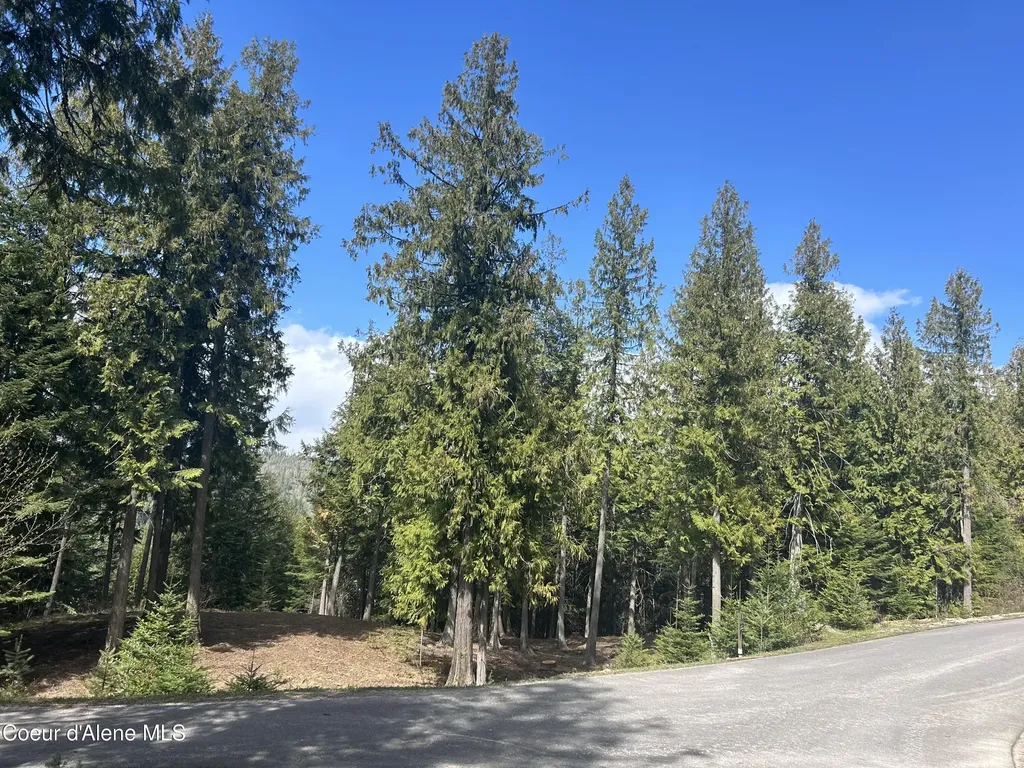 Lot 17 White Cloud Drive Sandpoint ID 83864