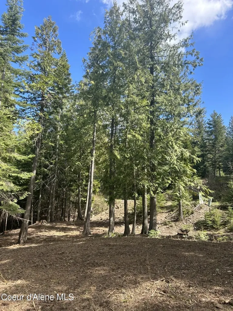 Lot 17 White Cloud Drive Sandpoint ID 83864