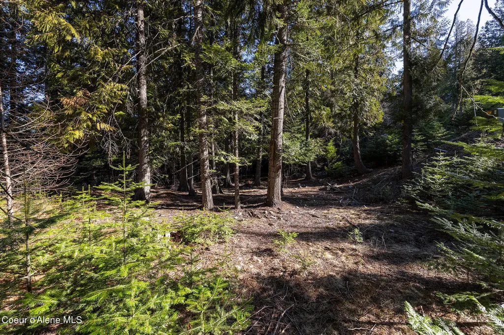 Lot 17 White Cloud Drive Sandpoint ID 83864