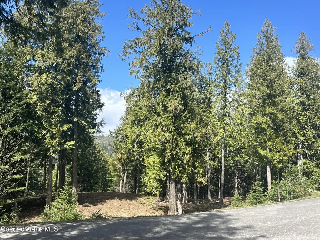 Lot 17 White Cloud Drive Sandpoint ID 83864
