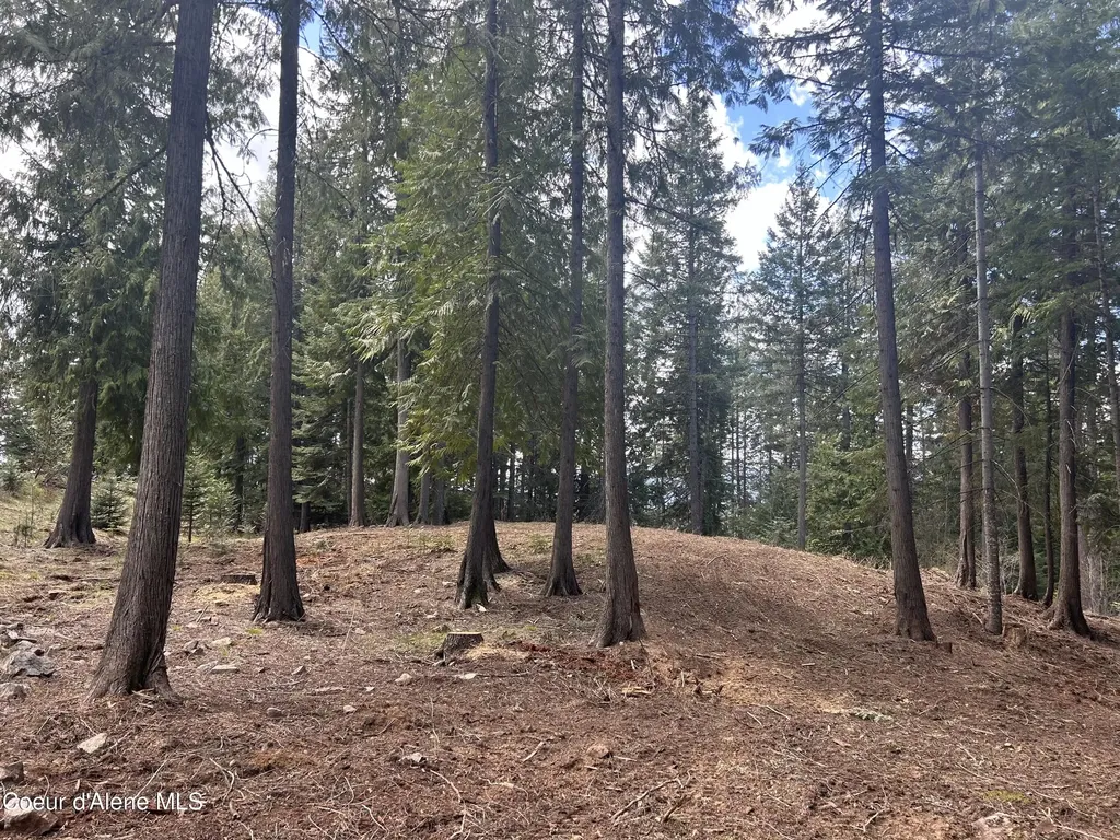 Lot 17 White Cloud Drive Sandpoint ID 83864