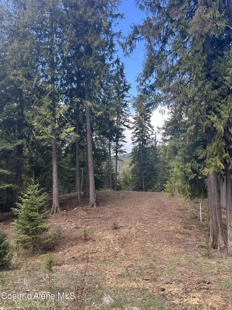 Lot 17 White Cloud Drive Sandpoint ID 83864