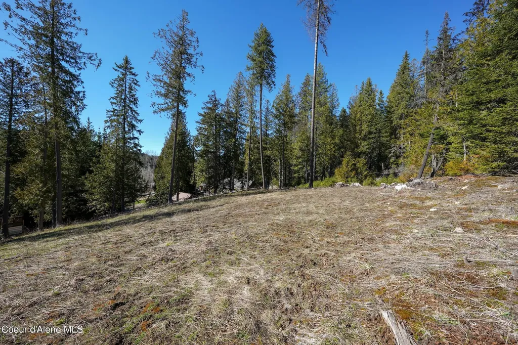 29567 Highway 57 Priest Lake ID 83856