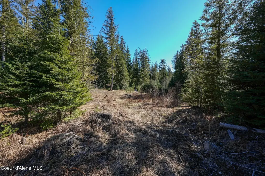29567 Highway 57 Priest Lake ID 83856