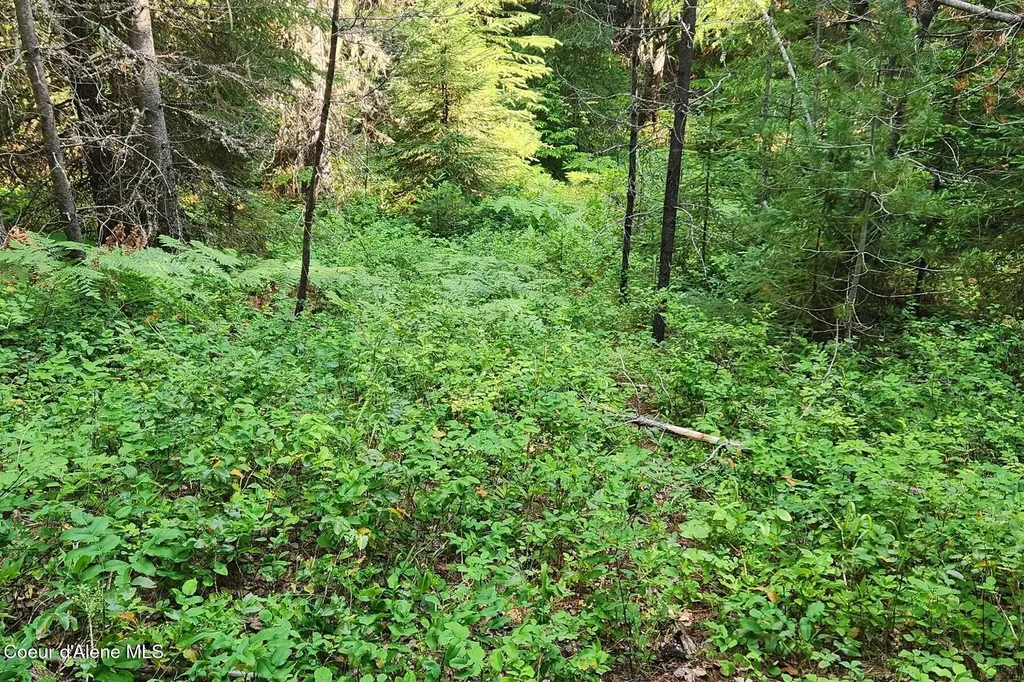 Nna Reeder Bay Road Nordman ID 83848