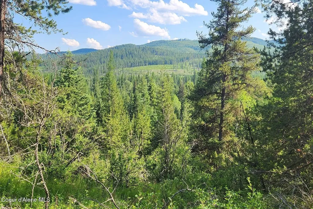 Nna Reeder Bay Road Nordman ID 83848
