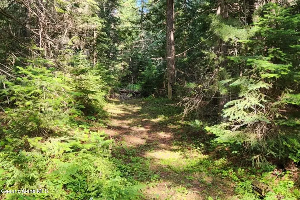 Nna Reeder Bay Road Nordman ID 83848