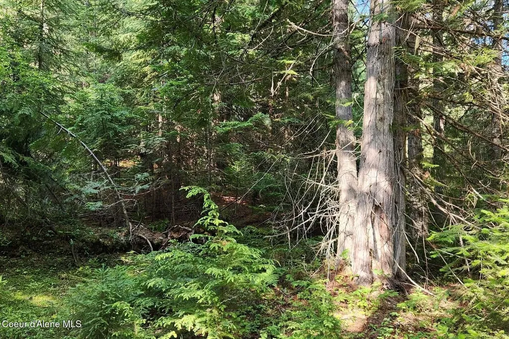 Nna Reeder Bay Road Nordman ID 83848